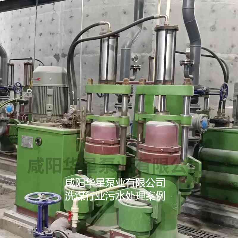 洗煤廠使用華星YBH300壓濾機(jī)專(zhuān)用入料泵